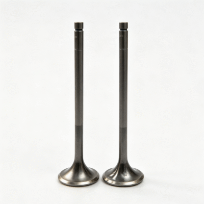 Engine Valve Z210